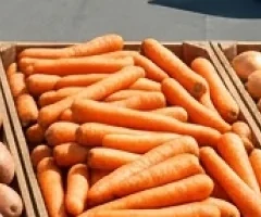 Tender Red Carrots (Grade A)