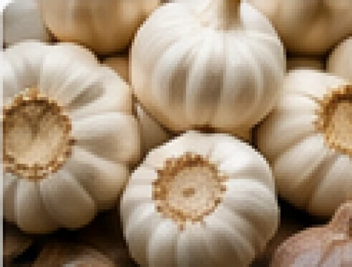 Single Clove & Snow White Garlic