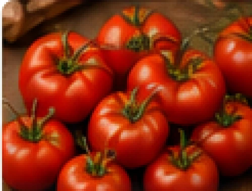 Fresh Hybrid Firm Tomato